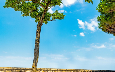 Sable blond et secrets: explorer les plages vivantes du bassin