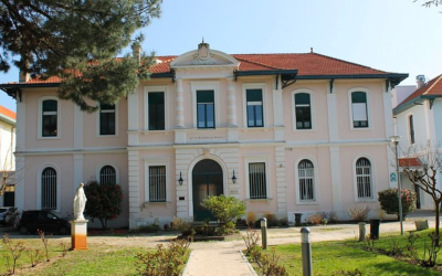 Arcachon moulleau, guide ultime plages, villas, saveurs et balades secrètes