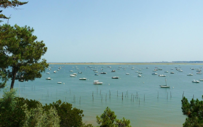 Arcachon, plages et dunes : voyage sensoriel sur un littoral mythique